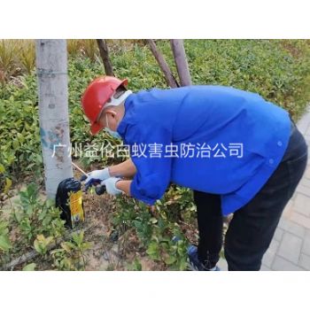 越秀區公園滅治白蟻工程