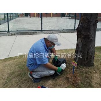 廣州中學防治紅火蟻