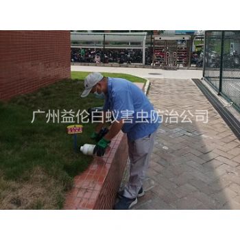 荔灣校區滅紅火蟻