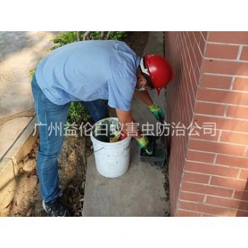 黃埔區企業外圍滅鼠
