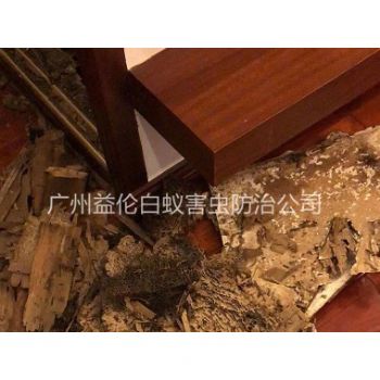 蘿崗荔紅小區除白蟻