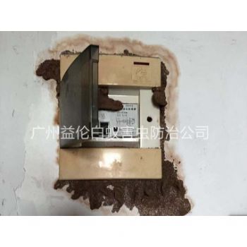 南沙區防治電箱白蟻蟻害
