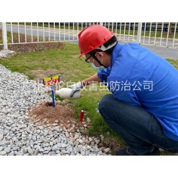 海珠園區治紅火蟻