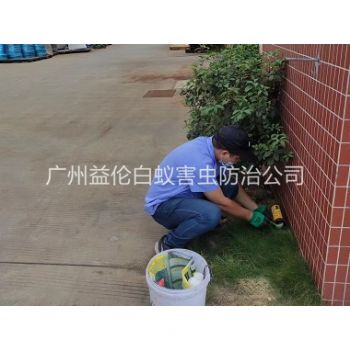 花都區布放滅鼠屋工程