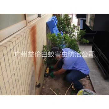 蘿崗投放滅鼠裝置工程